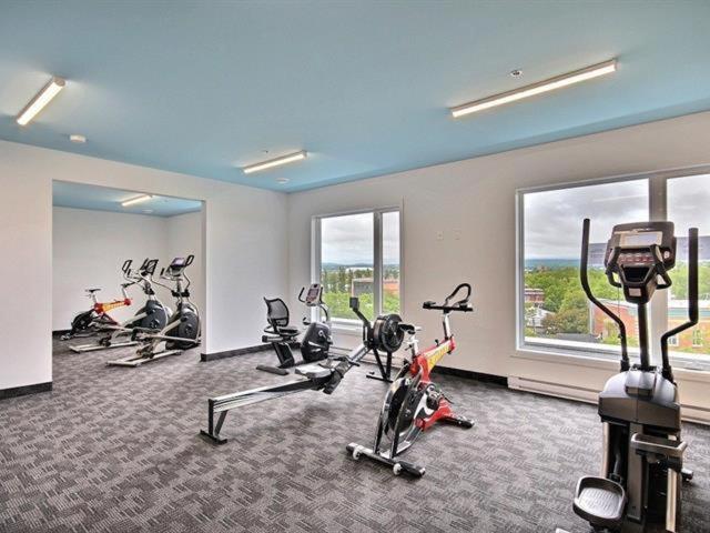 Penthouse On Charest - With Parking And Gym Apartamento Ciudad de Quebec Exterior foto